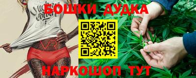 СК Волгодонск