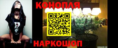 СК Волгодонск
