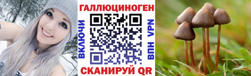 закладка  Ефремов  Галлюциногенные грибы мицелий 