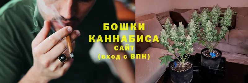 Канабис Bruce Banner  hydra как зайти  Ефремов  где продают наркотики 