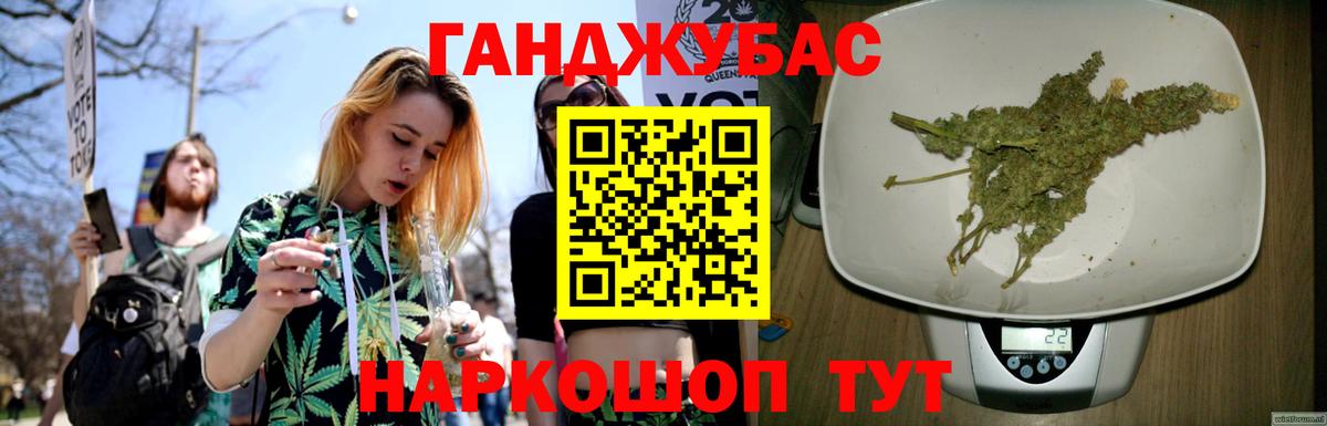 Шишки марихуана план  Вход с VPN  Ефремов  Шишки марихуана конопля 